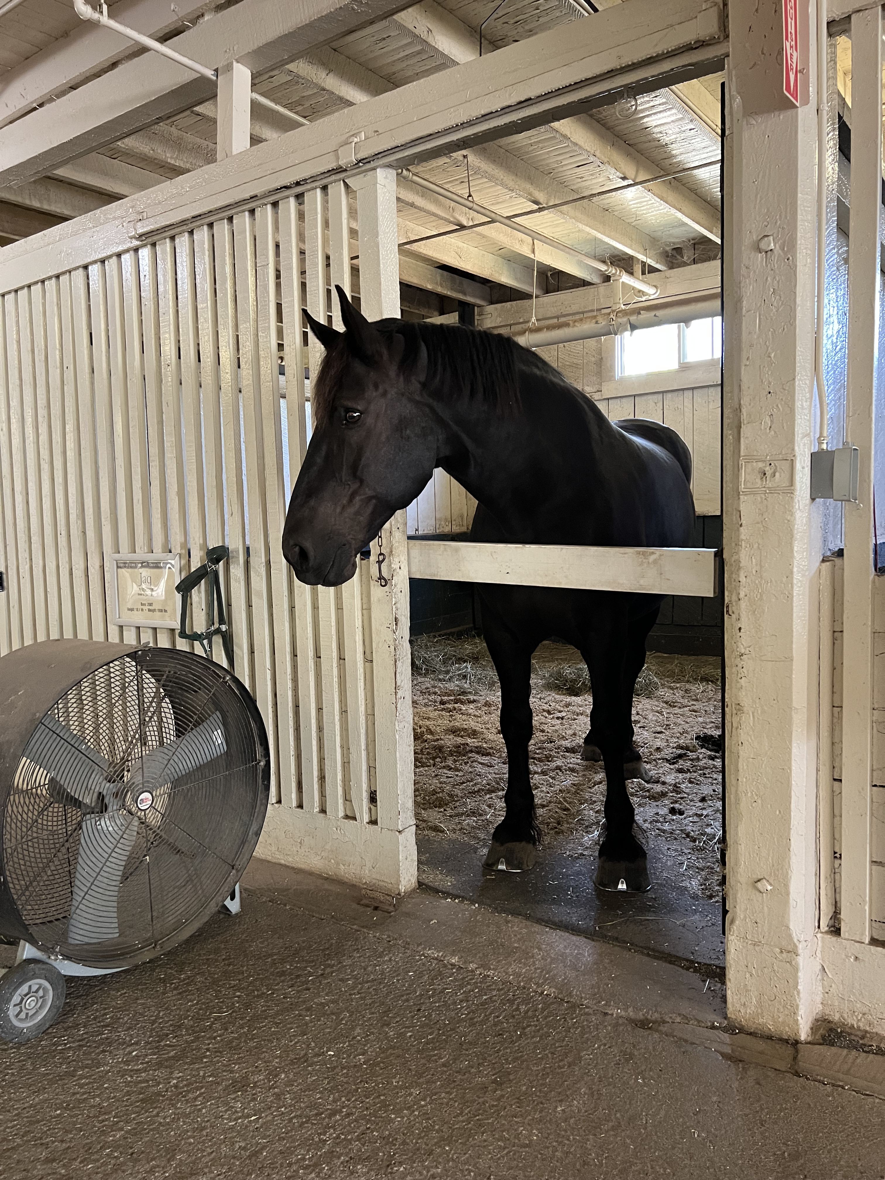 ./2023/12 - Kentucky/IMG_0189.jpg